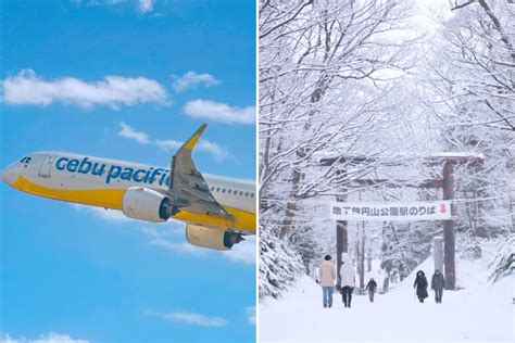 manila to sapporo